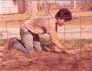 February 1984 Planting Tomatoes.